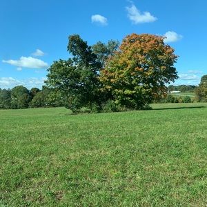 Meet your Posher, Christy